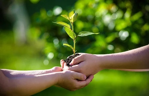 Environmentally Friendly Practices
