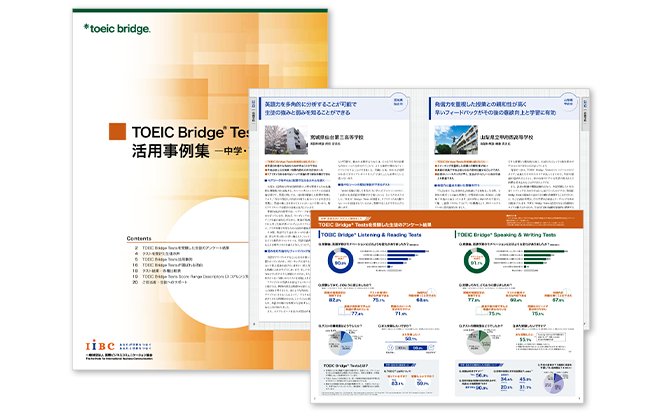 bridge_2024_cases_img