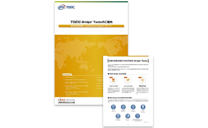 bridge_guide