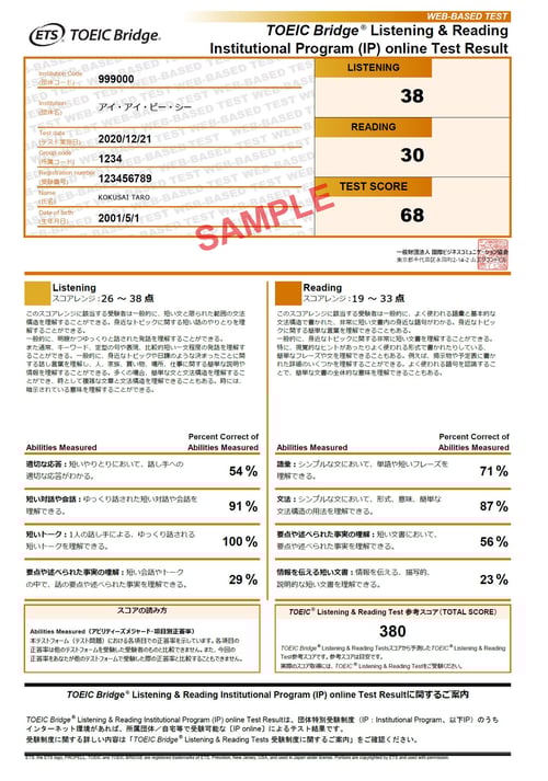IP（オンライン）テスト結果の見本