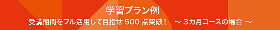 学習プラン例 受講期間をフル活用して目指せ500点突破！　～3カ月コースの場合 ～